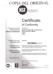 Certificado Agríc. Coigue Valido 27-02-2015 001