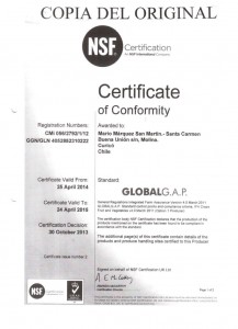 Certificado Mario Jose Marquez Valido -24-04-2015 001