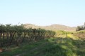 Chacra Santa Berta
